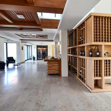 Luxury - Wine Hotel Smederevo